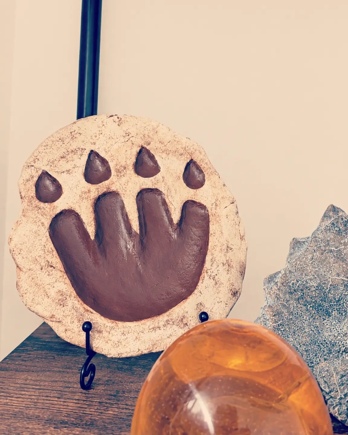 Faux fossil Triceratops footprint